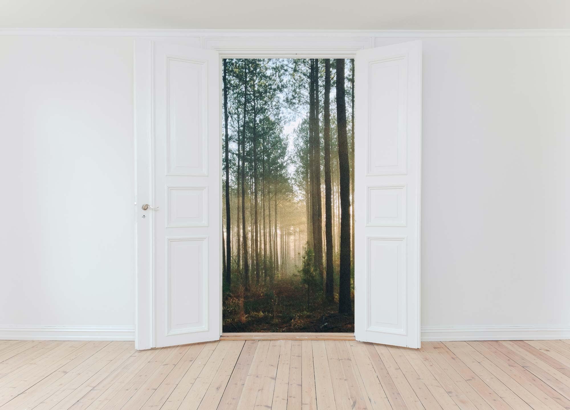 A forest through open doors.