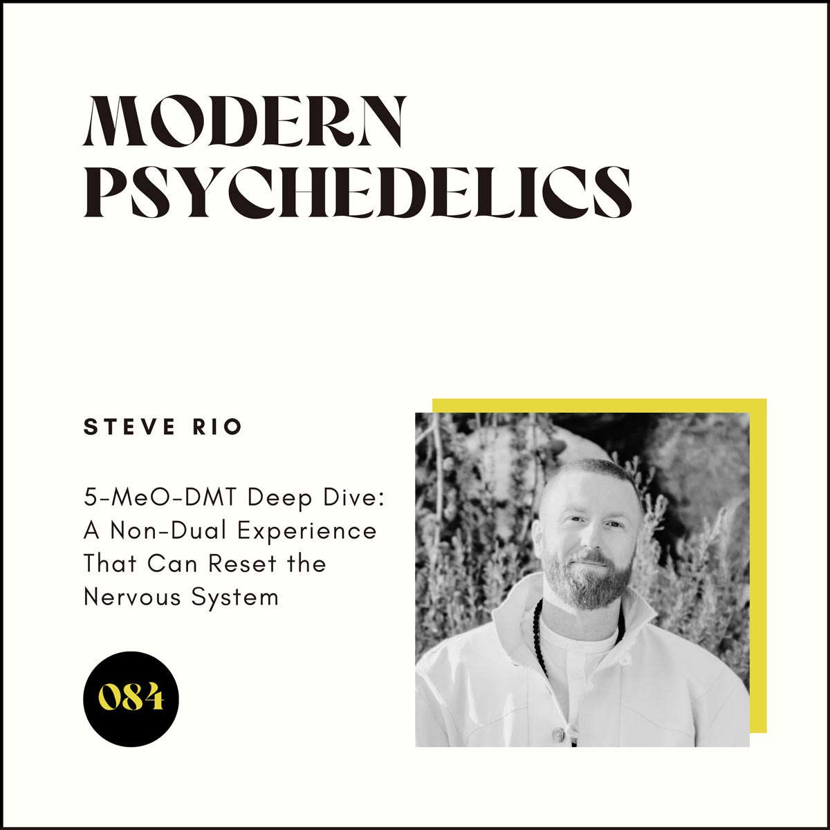 Steve Rio on Modern Psychedelics Podcast Episode 84